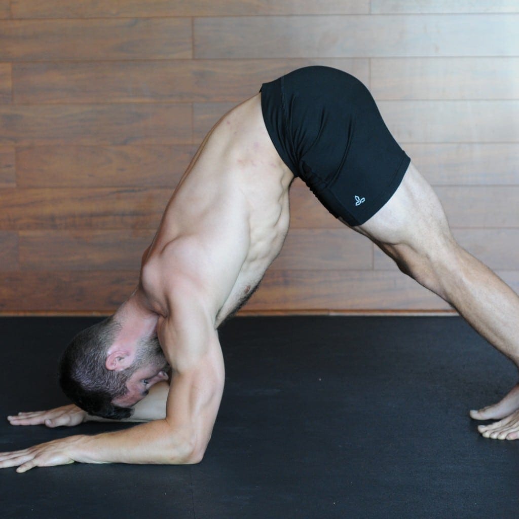 Yoga Poses for Upper Body Strength - Dolphin 
