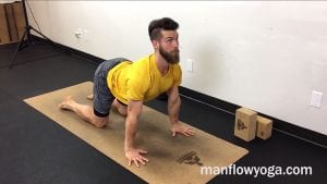 Movement Essentials (Spine, Core, & Hips)