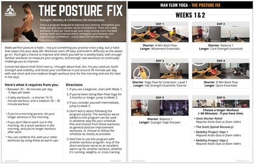 The Posture Fix - Printable PDF