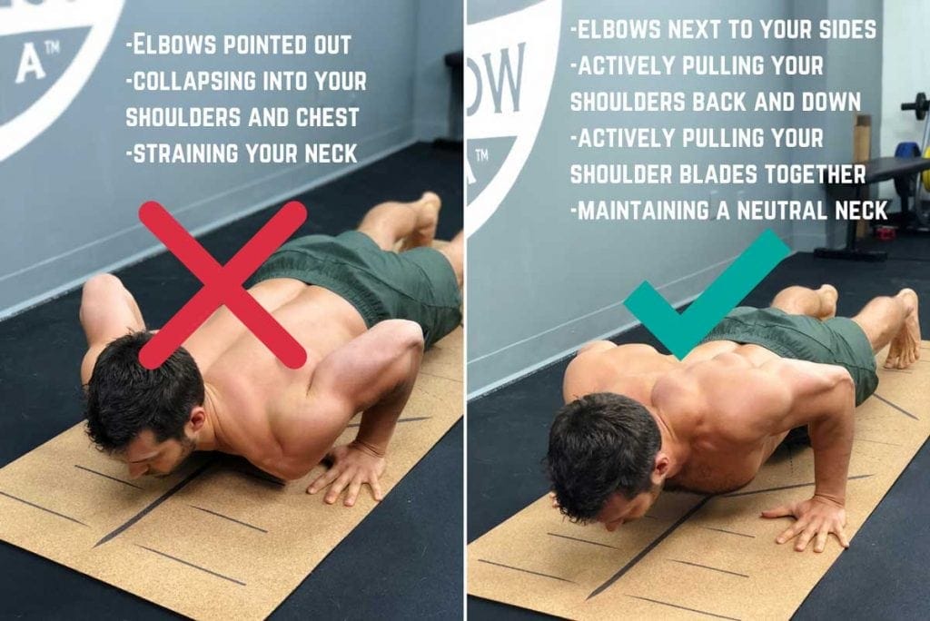 Common Beginner Yoga Mistakes to Avoid - Vinyasa/Low Plank
