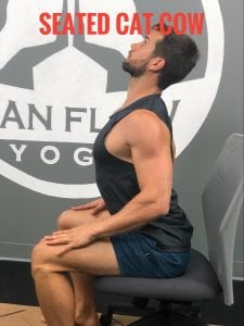 Exercises You Can Do While Sitting--Seated Cat-cow--Cow Position
