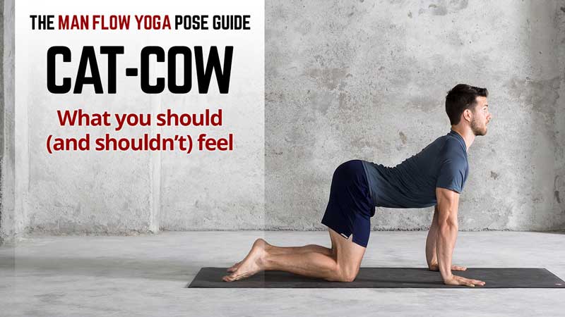 Man Flow Yoga Pose Guide - Cat-Cow: What you should (and shouldn't) be feeling - Photo credit 2018 Dennis Burnett Photography