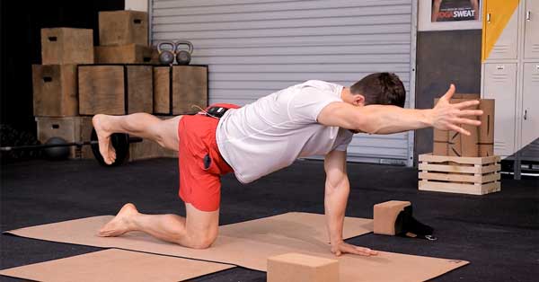4. Bird Dog (1 minute each side) 4. Bird Dog (1 minute each side)
