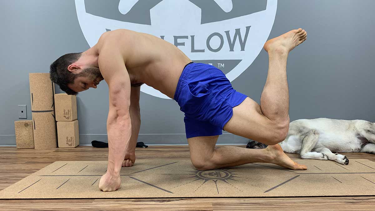 Yoga for Spinal Decompression - Donkey Kicks - Position 2