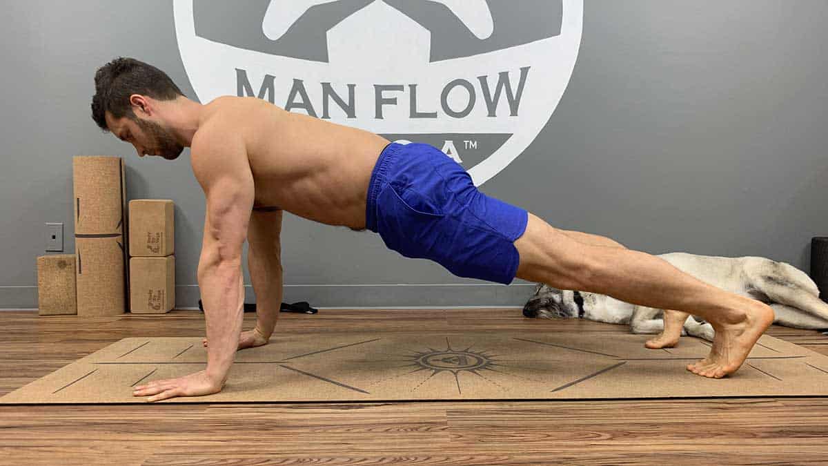 Yoga for Back Decompression - Plank Pose