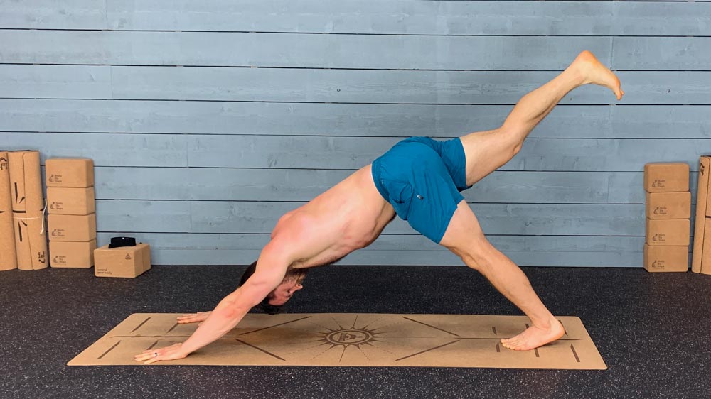 Mission: Daily Yoga - Downward dog with leg lift