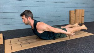 Male yoga instructor holds locust pose on mat