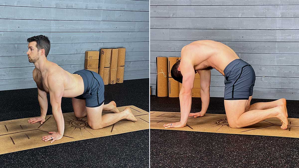 Cat Cow Stretch