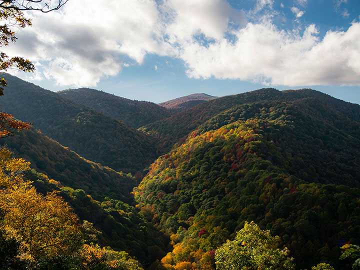 Blue Ridge Parkway mountains