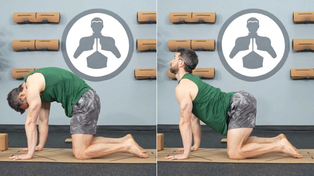 Yoga for Anxiety Series #1 (20 Minutes) | Cat-Cow Yoga for Anxiety Series #1 (20 Minutes) | Cat-Cow