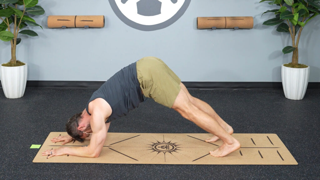 Top 7 Yoga Poses for Men Over 40: Dolphin Top 7 Yoga Poses for Men Over 40: Dolphin