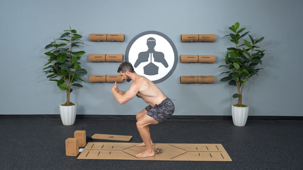 Yoga For Sarcopenia - Shallow Squats